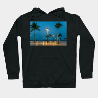 night at the park Hoodie